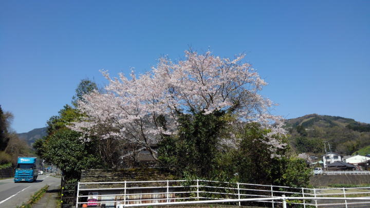 CtU肩ɂȂN̍